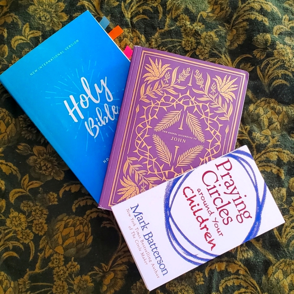 Expecting a Baby Bible, prayer book and journal combo.